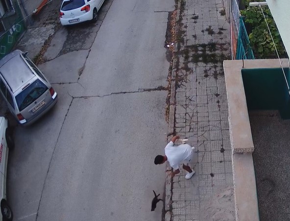 Брутален акт на агресия над малко коте! ВИДЕО 18+