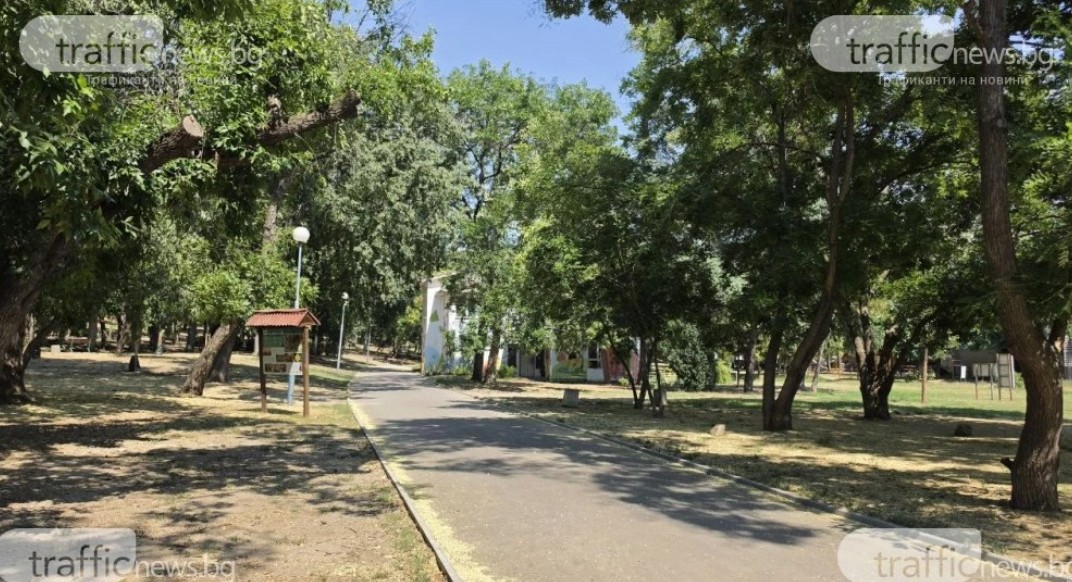 Жестоко убийство на Младежкия хълм в Пловдив - от омраза е