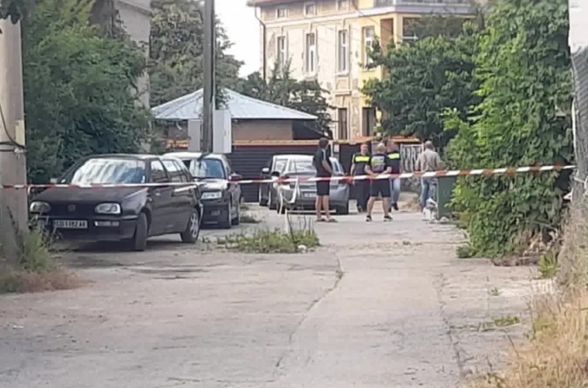 Жестоко нападение: Питбули се нахвърлиха върху жена в Самоков и я обезобразиха