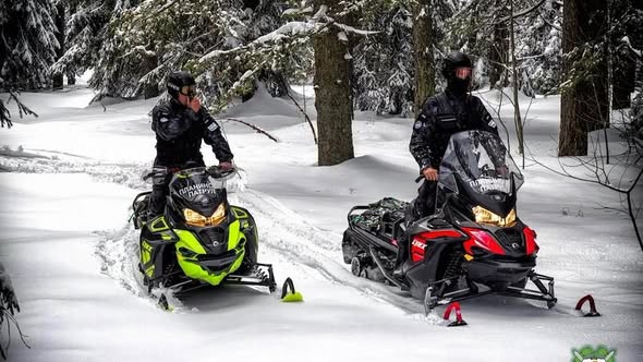 В България вече е опасно да си еколог и природозащитник. Мафията не играе по правила