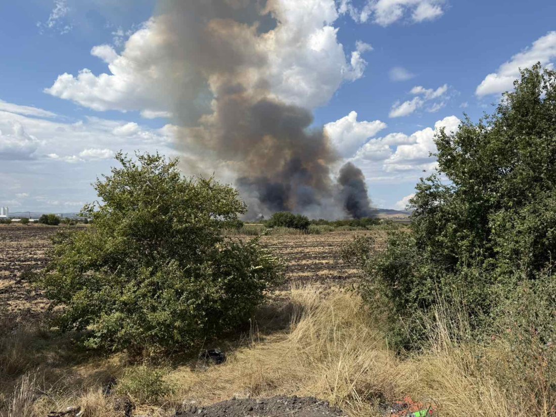 Голям пожар избухна край завод в Бургас