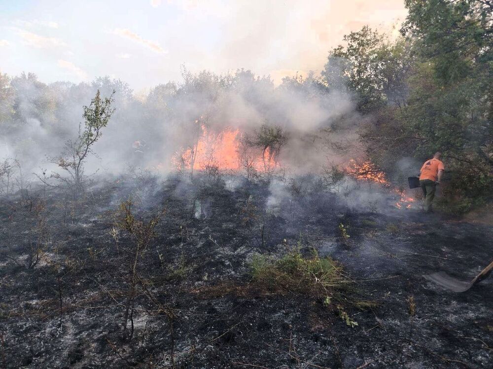 София и Пернишко под димна завеса заради голям пожар в Сърбия