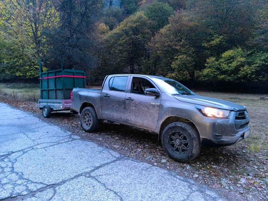 Уловиха и преместиха и втора мечка от района на село Гьоврен