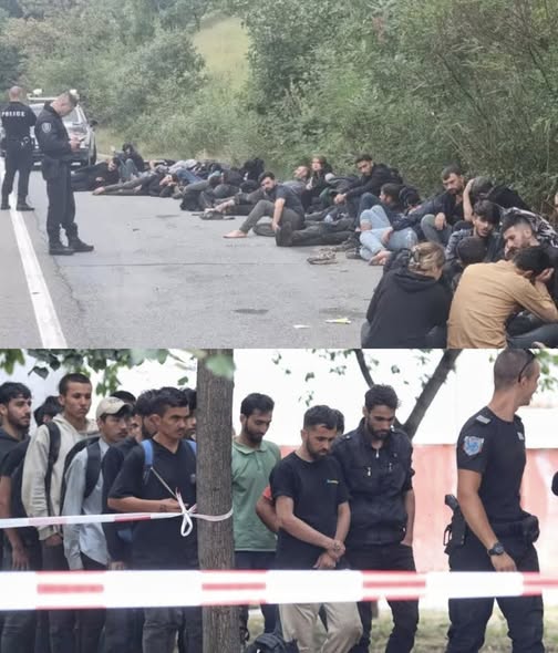 България трябва да се учи от чуждите грешки, а не да чака да ги повтори.