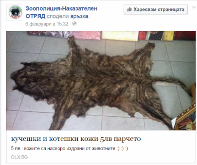 Отврат! Продават кучешки и котешки кожи срещу 5 лв?!!