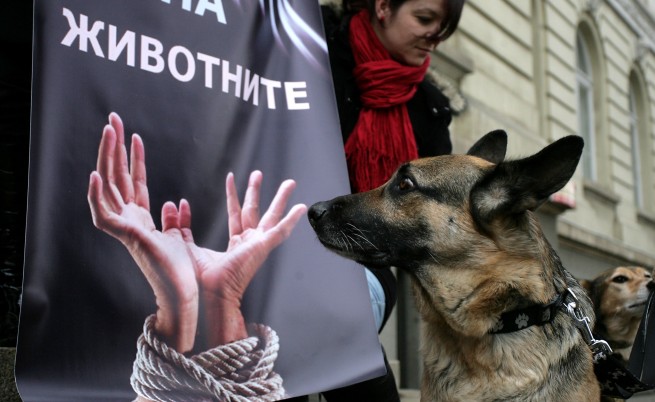 Наистина ще има зоополиция в България!