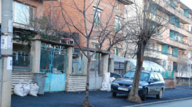 Идиотщината е заразна?! И в Харманли има асфалтирани дървета...
