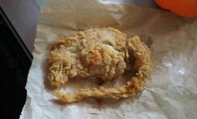 Плъх вместо пиле ли е получил клиентът на KFC? Вижте какво доказа ДНК тест!