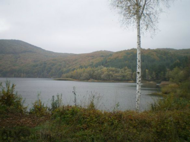 Откриха нов труп там, където плуваше куфарът с Никита! В Долни Пасарел са потресени...