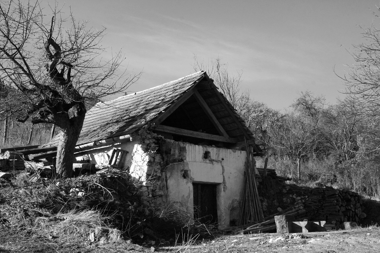 Изчезващата България