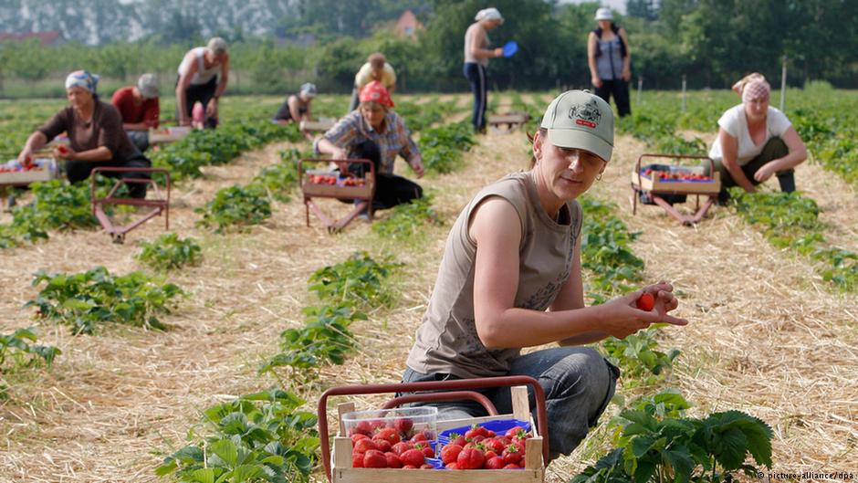Все по-малко българи и поляци искат да работят на германските полета