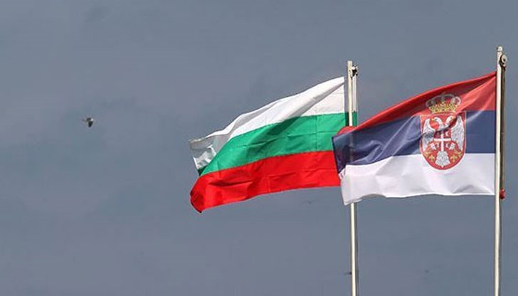 Кои са тулупите?