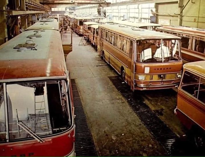 Помните ли автобусите 